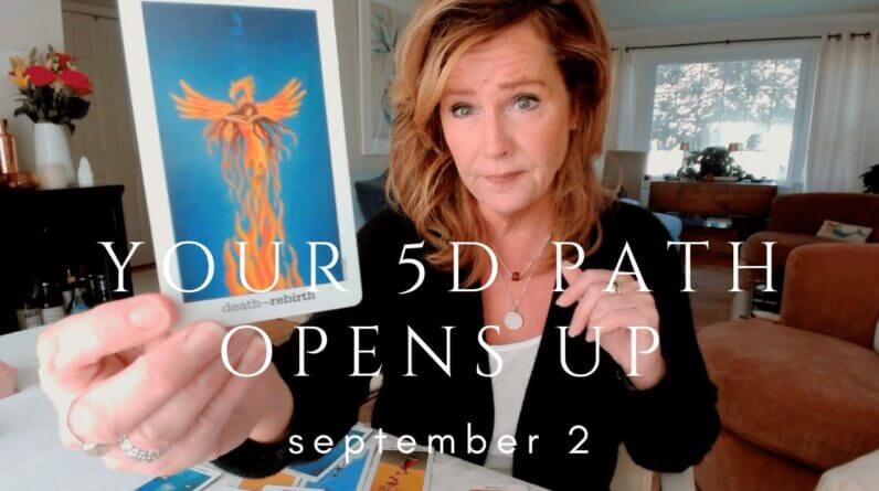 Your Daily Tarot Reading : The Path To Your Next BIG SHIFT | Spiritual Path Guidance