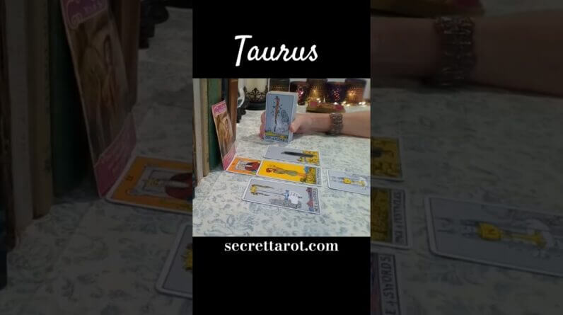 Taurus ♥️ There's A Certain Sadness They Carry With Them #Taurus #Tarot