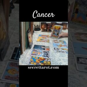 Cancer ♥️  They Respect You Now #Cancer #tarot
