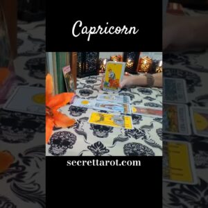 Capricorn ♥️  Hot & Bothered #Capricorn #tarot