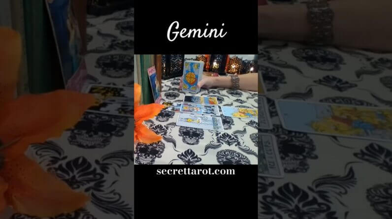 Gemini ♥️ Determined To Have You In This Lifetime #Gemini #tarot