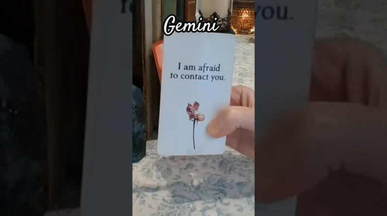 Gemini ♥️ They Think You Love Someone Else #Gemini #tarot 1 Gemini ♥️ They Think You Love Someone Else #Gemini #tarot