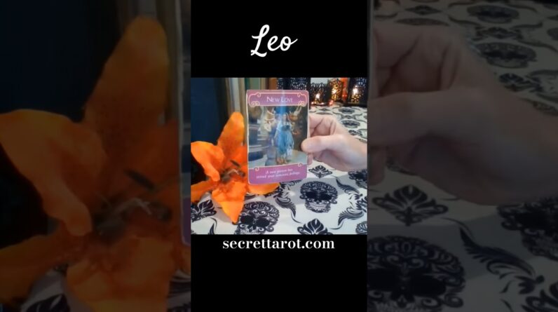 Leo ♥️ New Love #Leo #tarot 1 Leo ♥️ New Love #Leo #tarot
