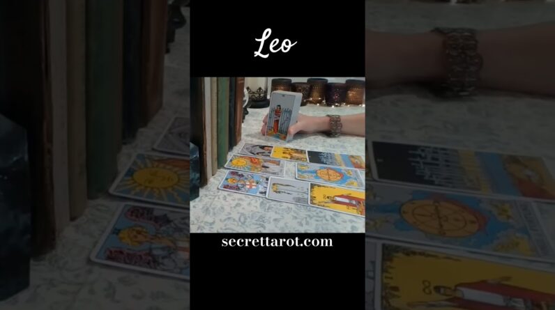 Leo ♥️  They  Will Get Hurt, Not You #Leo #tarot