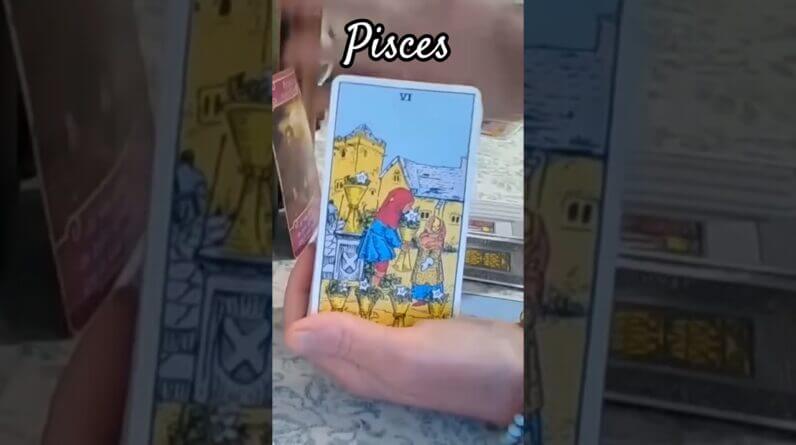 Pisces ♥️ Ready For An Energy Like Yours #Pisces #tarot 1 Pisces ♥️ Ready For An Energy Like Yours #Pisces #tarot