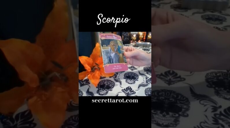 Scorpio ♥️ It's Giving Soulmate Vibes #Scorpio #tarot 1 Scorpio ♥️ It's Giving Soulmate Vibes #Scorpio #tarot