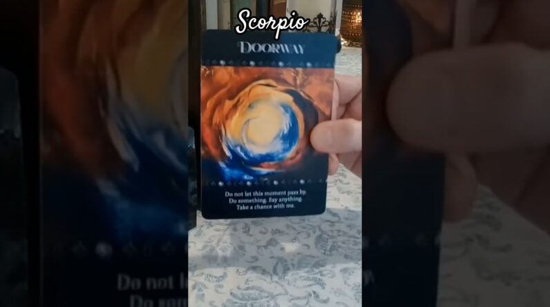 Scorpio ♥️ Take A Chance with Me #Scorpio #Tarot