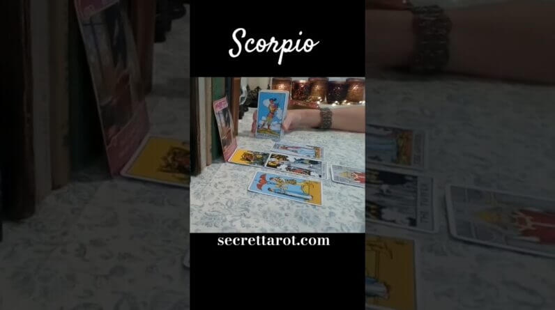 Scorpio ♥️ They Like What They See #Scorpio #Tarot 1 Scorpio ♥️ They Like What They See #Scorpio #Tarot
