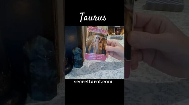 Taurus ♥️ Everything With You #Taurus #tarot 1 Taurus ♥️ Everything With You #Taurus #tarot