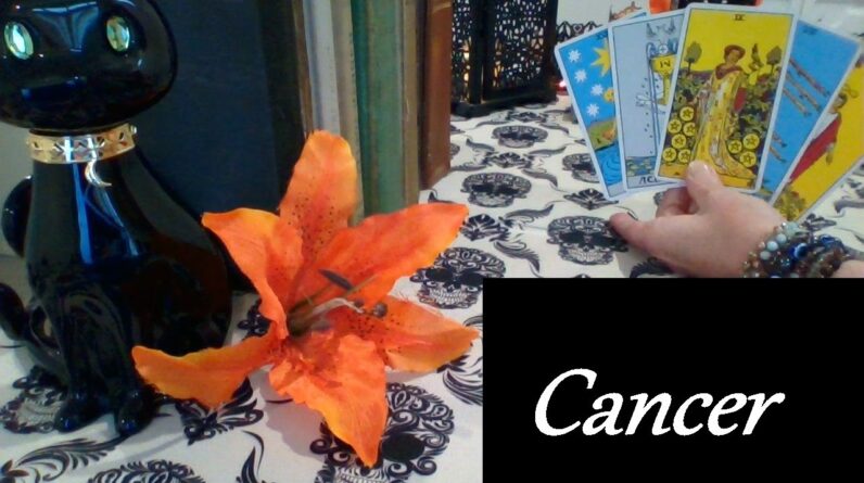 Cancer October 2025 ❤ SUCH A TEASE! Your Will Win This Cat & Mouse Game FUTURE LOVE #Cancer #Tarot 1 Cancer October 2025 ❤ SUCH A TEASE! Your Will Win This Cat & Mouse Game FUTURE LOVE #Cancer #Tarot