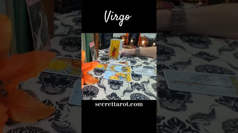 Virgo ♥️  They Worry About YOUR Past Virgo #Virgo #tarot