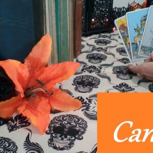 Cancer Mid October 2025 ❤💲 AMAZING! Your Heart Will Be So Full LOVE & CAREER #Cancer #tarot