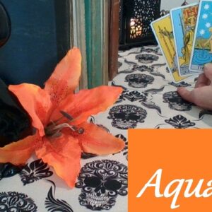 Aquarius Mid October 2025 ❤💲 SIMPLY IRRESISTIBLE! Time To Shake Things Up LOVE & CAREER #aquarius