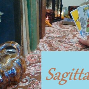 Sagittarius November 2025 ❤💲 YOU WIN! This Is Life You Have Been Dreaming Of LOVE & CAREER #tarot