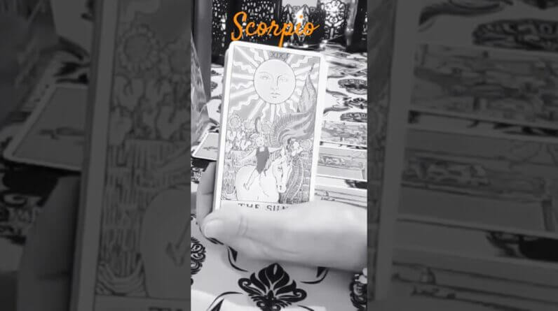 Scorpio ♥️ They Had A Chance, But They Didn't Take It #Scorpio #tarot