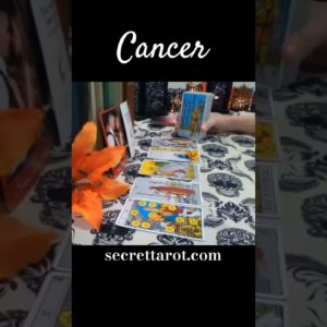 Cancer ♥️  Nothing Compares To You #Cancer #tarot