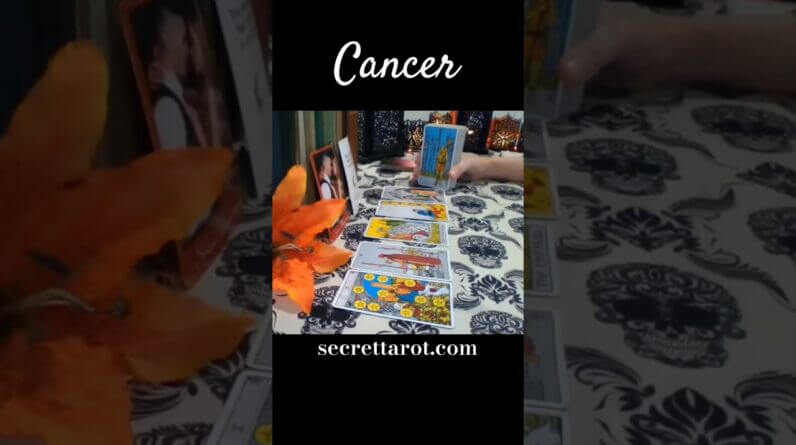 Cancer ♥️ Nothing Compares To You #Cancer #tarot 1 Cancer ♥️ Nothing Compares To You #Cancer #tarot