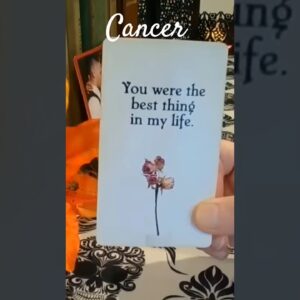 Cancer ♥️ You Are The Best Thing #Cancer #tarot