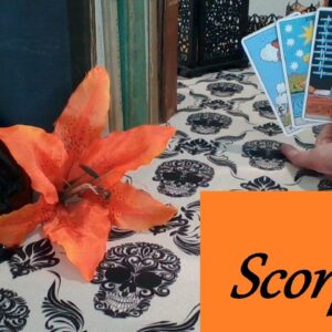 Scorpio❤️💋💔 "We Talk In My Dreams" LOVE LUST LOSS Now-Oct 18th #Scorpio #tarot