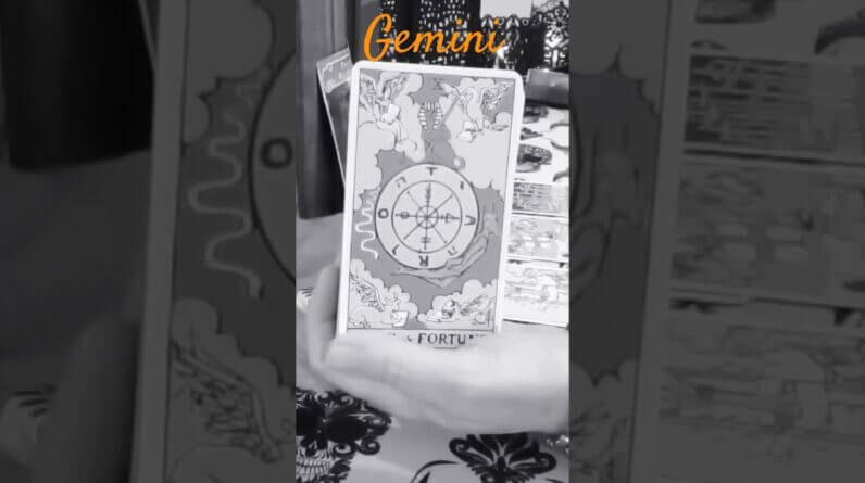 Gemini ♥️ This Is Fate #Gemini #tarot