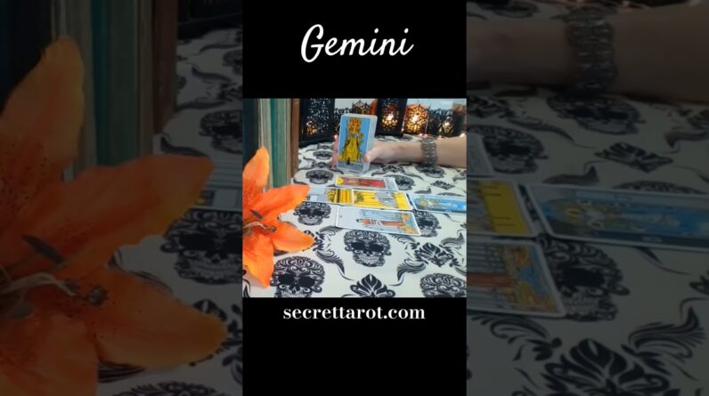 Gemini ❤️ It's A Lot To Absorb #Gemini #tarot 1 Gemini ❤️ It's A Lot To Absorb #Gemini #tarot