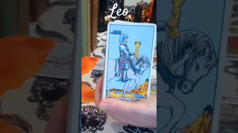 Leo ❤️ A Beautiful Experience #Leo #tarot