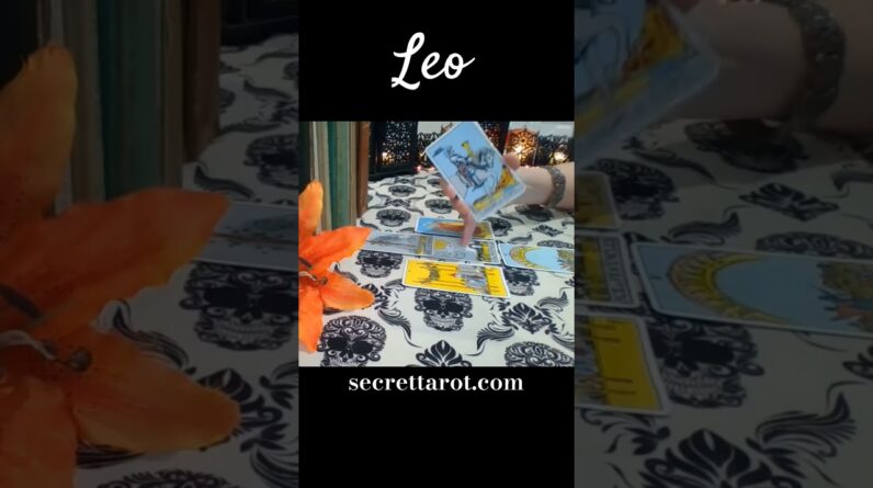 Leo ❤️ Better Than You Imagined #Leo #tarot 1 Leo ❤️ Better Than You Imagined #Leo #tarot