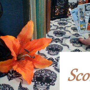 Scorpio ❤️💋💔 SHOOK UP! You Drive Them Insane Scorpio LOVE LUST LOSS Oct 18-Nov 1 #Scorpio #Tarot