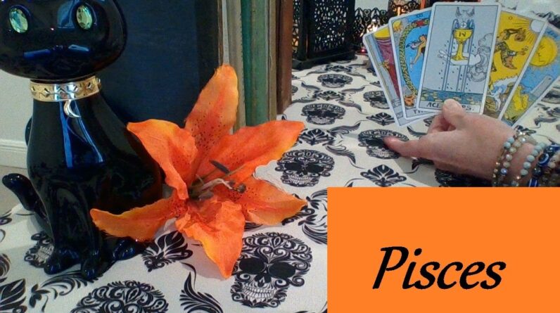 Pisces โค๏ธ๐๐ "I Know Your Scars, I Have Them Too" LOVE LUST LOSS Now-Oct 18th #tarot #Pisces 1 Pisces โค๏ธ๐๐ "I Know Your Scars, I Have Them Too" LOVE LUST LOSS Now-Oct 18th #tarot #Pisces