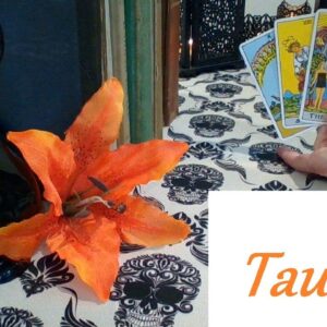 Taurus ❤ THE LONG GAME! This Is Why They Keep Their Feelings Hidden YOUR SOULMATE Oct 2025 #Taurus