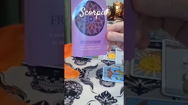 Scorpio ♏️ Friendship Lessons #Scorpio #tarot