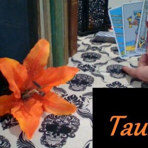 Taurus October 2025 ❤💲 SO DEEP! The Most Passionate Experience Of Your Life LOVE & CAREER #taurus