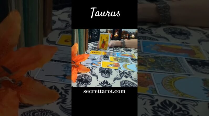 Taurus ❤️ They Think Your New Love Is Trash #Taurus #tarot
