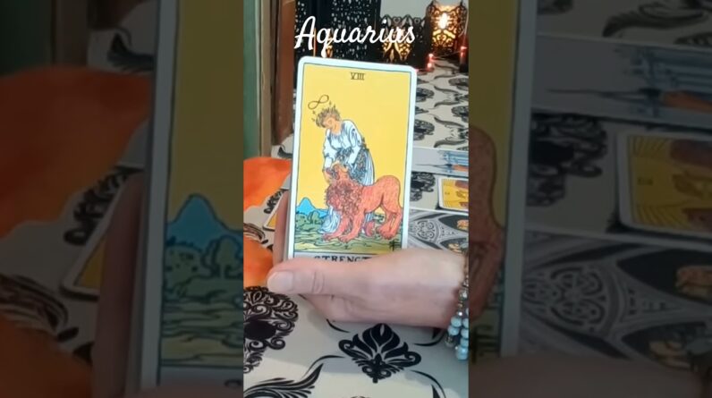 Aquarius ❤️ The Moment You Got Off Your Knees #Aquarius #tarot