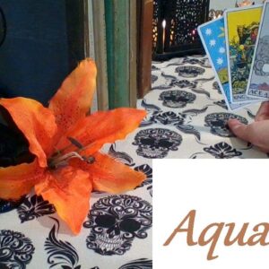 Aquarius ❤️💋💔 AS YOU WISH! A Very Vulnerable Moment LOVE LUST LOSS Oct 18-Nov 1 #aquarius