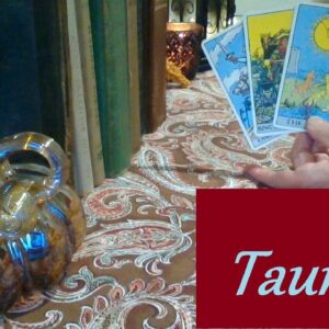 Taurus Mid November 2025 ❤💲 PERFECT PERSON! Bold Moves Will Be Made LOVE & CAREER #Taurus #Tarot