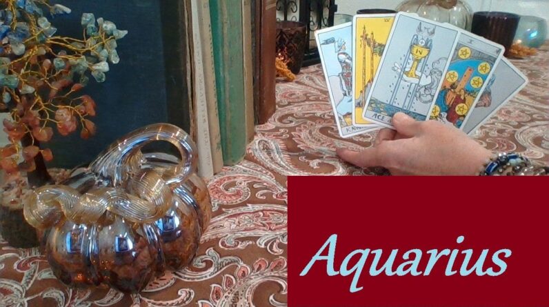 Aquarius Mid November 2025 ❤💲 YES! SO MUCH BETTER Than Demonic Leeches LOVE & CAREER #Aquarius 1 Aquarius Mid November 2025 ❤💲 YES! SO MUCH BETTER Than Demonic Leeches LOVE & CAREER #Aquarius