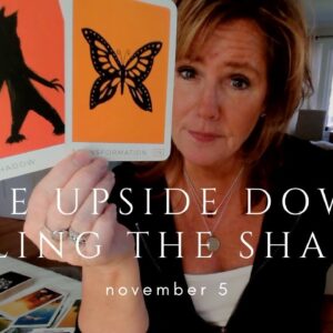 Your Daily Tarot Reading : Healing The Shadow For The Collective - Full Moon In Taurus