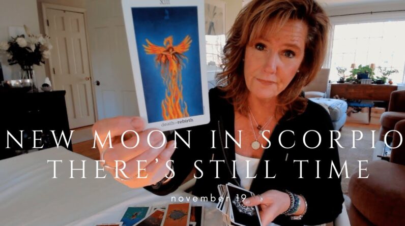 Your Daily Tarot Reading : Was This A BAD CHOICE? You Still Have Time | Spiritual Path Guidance 1 Your Daily Tarot Reading : Was This A BAD CHOICE? You Still Have Time | Spiritual Path Guidance