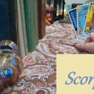 Scorpio ❤️💋💔 POSSESSIVE! They Have A Gift For You Scorpio LOVE LUST LOSS Now-Nov 29th #Scorpio