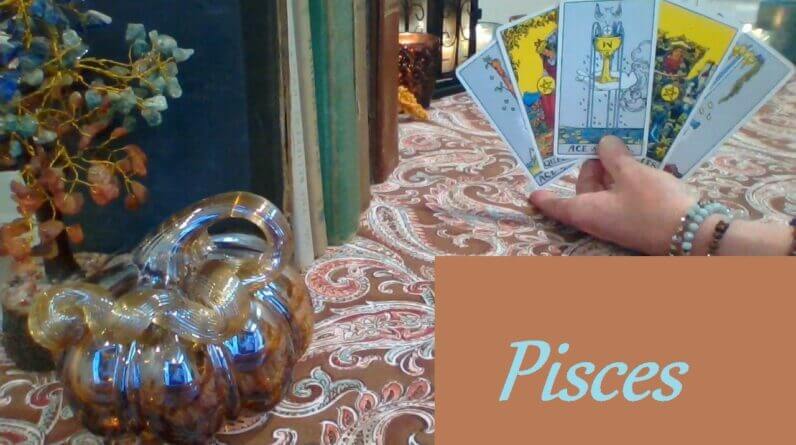 Pisces ❤ YOUR PERFECT PERSON! And So It Begins Pisces YOUR SOULMATE Nov 25 #Pisces #Tarot 1 Pisces ❤ YOUR PERFECT PERSON! And So It Begins Pisces YOUR SOULMATE Nov 25 #Pisces #Tarot