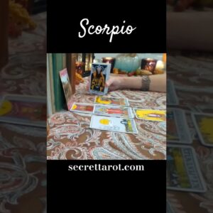 Scorpio ❤️  Prove It #Scorpio #tarot