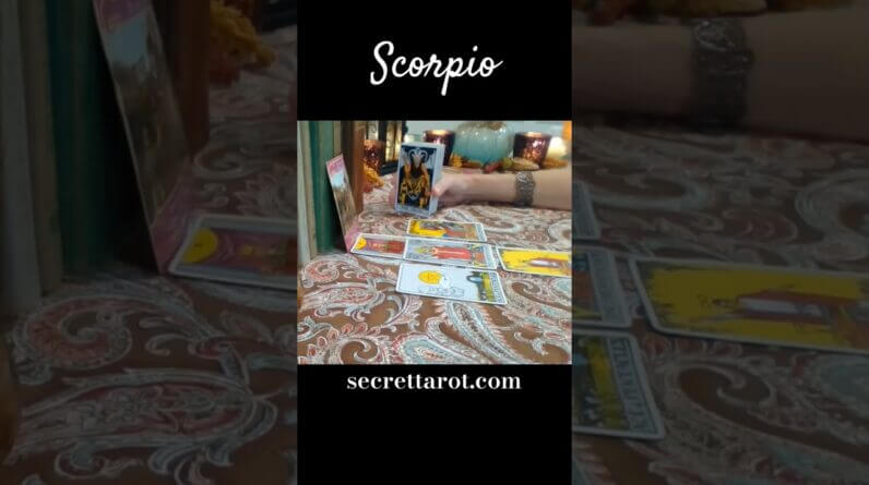 Scorpio ❤️ Prove It #Scorpio #tarot 1 Scorpio ❤️ Prove It #Scorpio #tarot