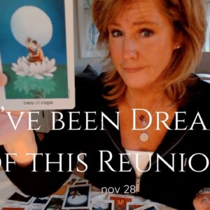 Your Daily Tarot Reading : They've Been Dreaming Of This Reunion | Spiritual Path Guidance