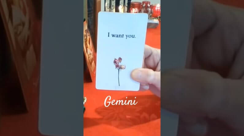 Gemini ♥️ Another Chance #Gemini #tarot 1 Gemini ♥️ Another Chance #Gemini #tarot