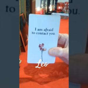 Leo ♥️  Things Got Crazy #Leo #tarot