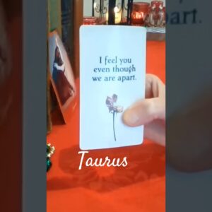 Taurus ♥️  Haunted By Thoughts Of You #Taurus #tarot