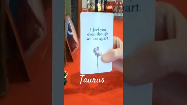 Taurus ♥️  Haunted By Thoughts Of You #Taurus #tarot