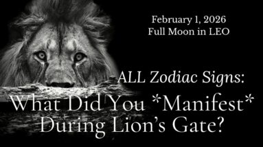 ALL ZODIAC SIGNS Full Moon In Leo : Lion's Gate Revisited