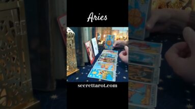 Aries ♥️  Stand Your Ground #aries #tarot